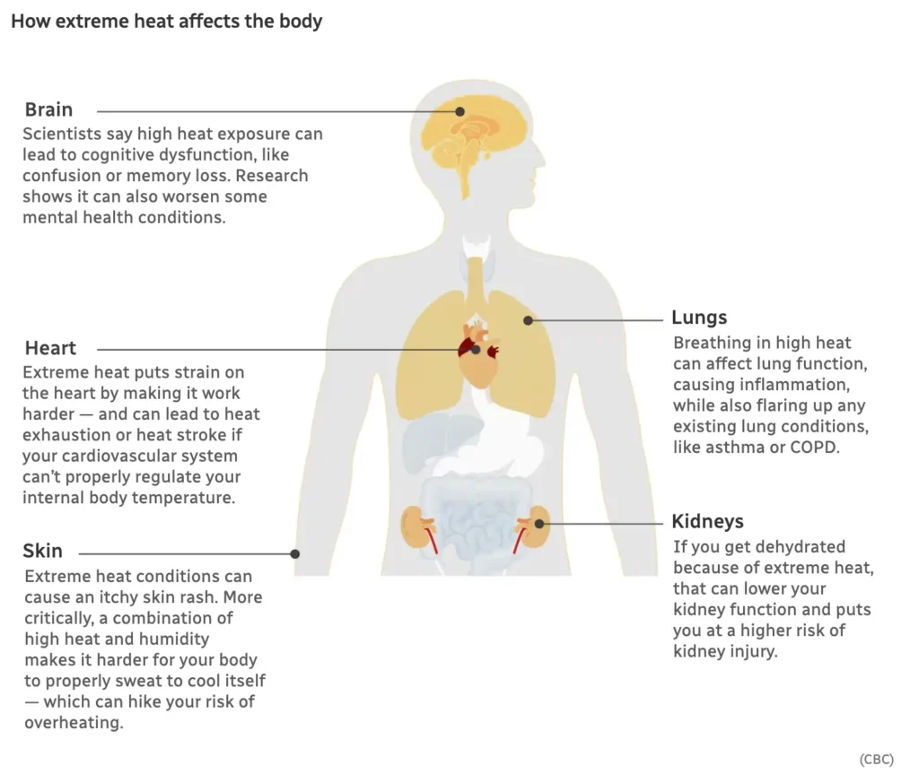 How Extreme Heat Affects the Body