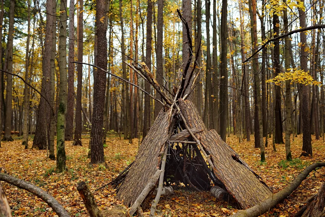 How to build wilderness survival shelter