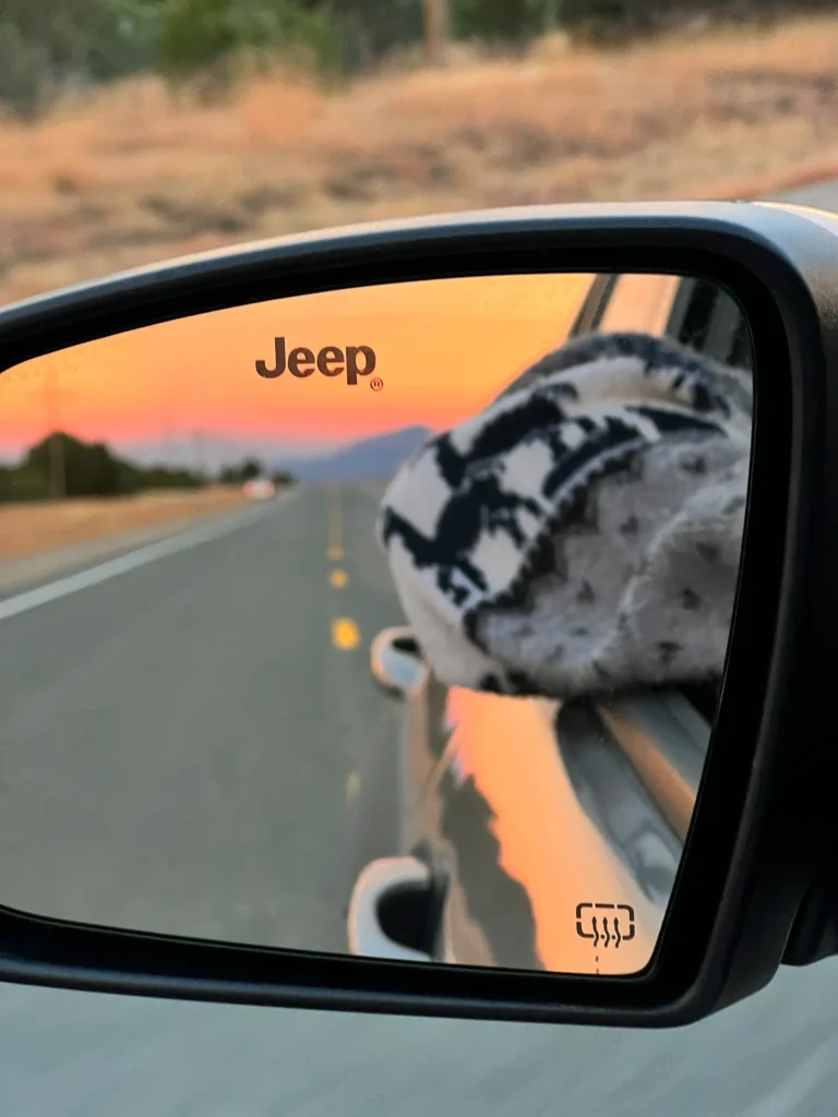 New Mexico Sunset in car