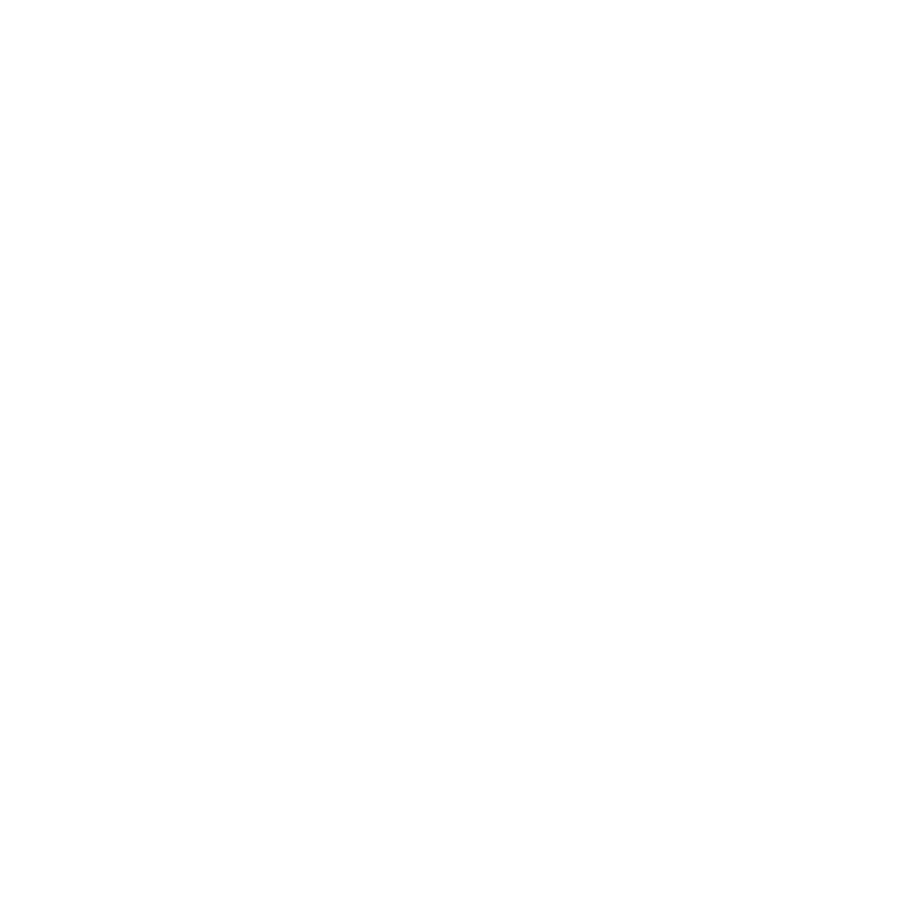 Ruger Logo White